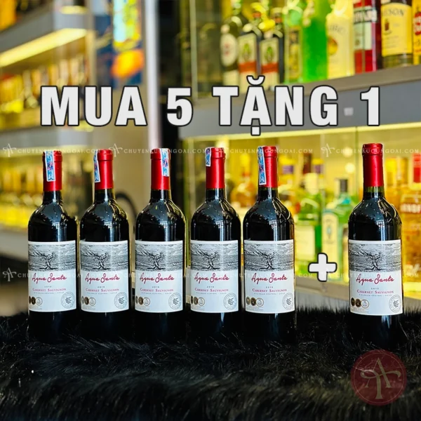 Mua 5 Tặng 1 - Vang Chile Agua Santa