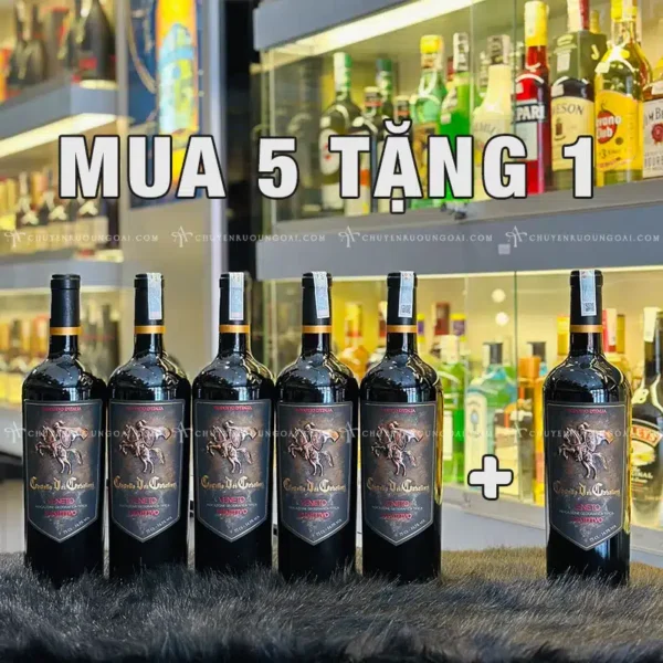 Mua 5 Tặng 1 - Vang Ý Castello Dei Cabalieri